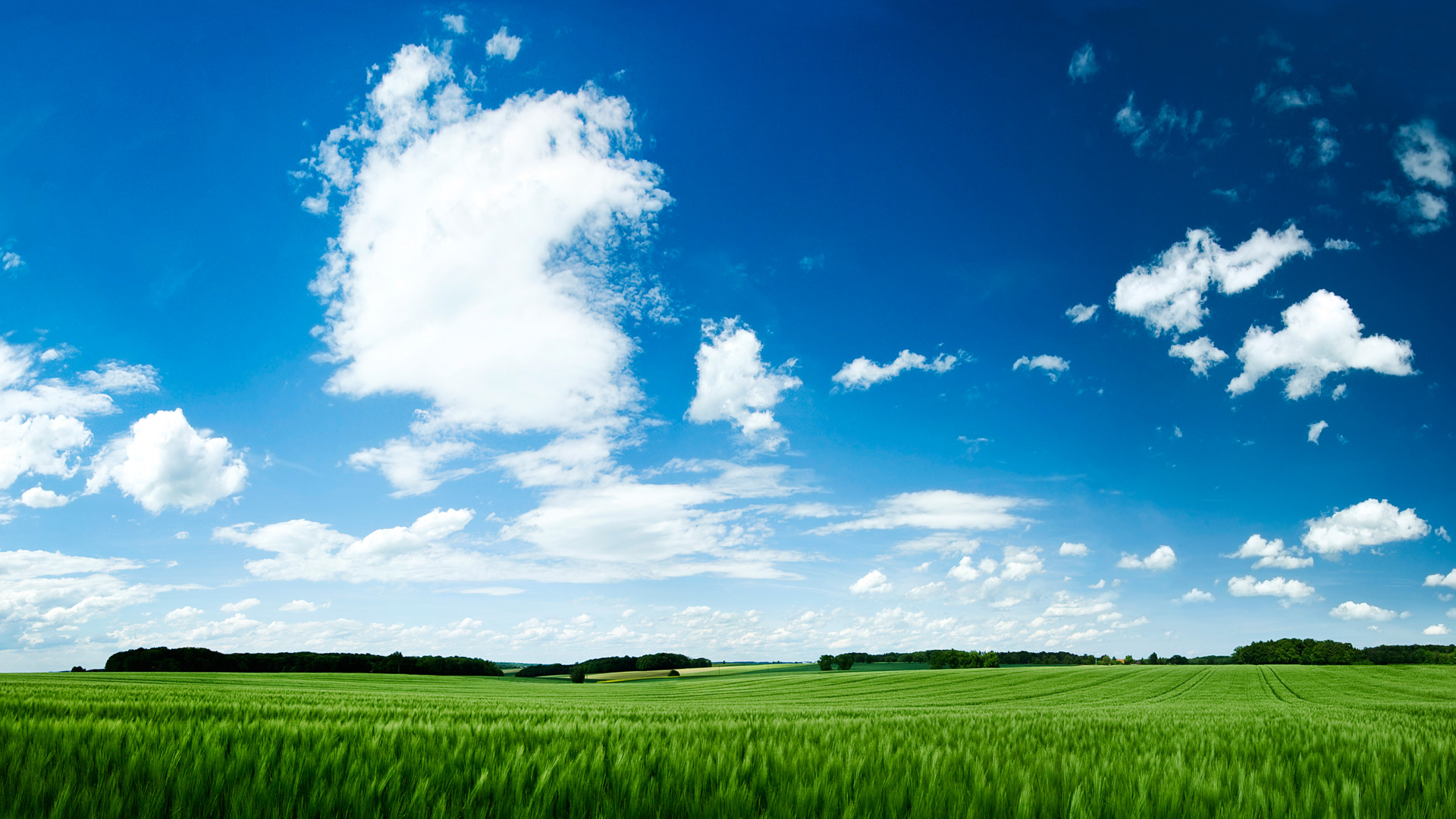 1920 x 1080 HD Wallpapers 298